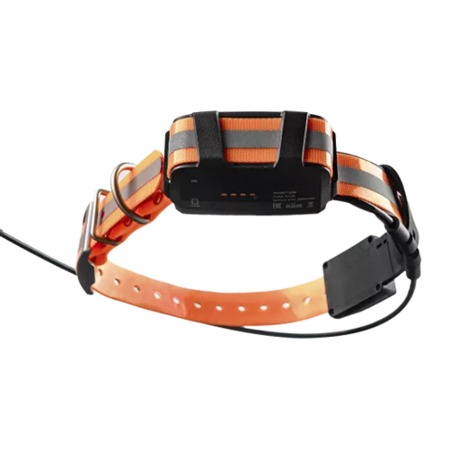 Ошейник Artelv Tracker 2W