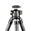 Штативная шаровая голова Sunwayfoto TH-55G